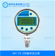 MY-YS-100數(shù)字壓力表